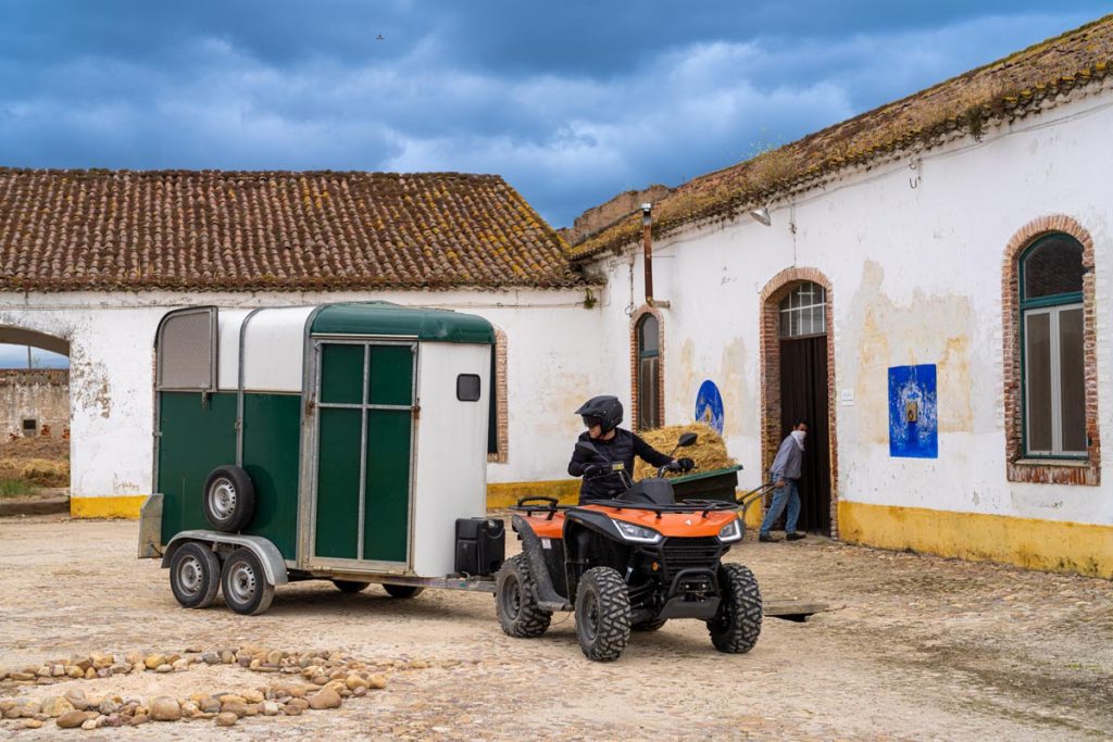 6-4-1024x683 Campanha Credito 0% - SEGWAY