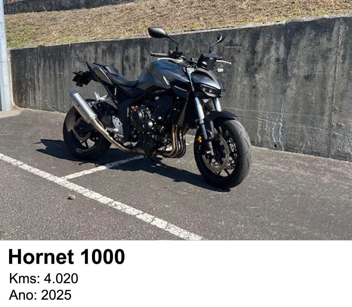 capa Honda Hornet 1.000 - 2025